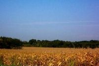 Property in Clarke County, Virginia