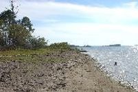Farm Property in San Augustine County, Texas