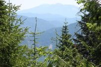 Farm Property in Trinity County, California