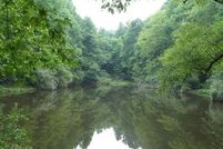 Farm Property in Roane County, West Virginia