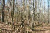 Property in Oneida County, New York