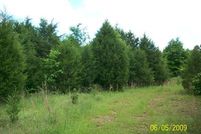 Farm Property in Arkansas County, Arkansas