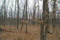 Farm Property in Washburn County, Wisconsin