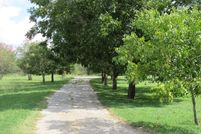 Ranch Property in Guadalupe County, Texas