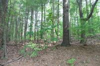 Undeveloped Land in Tolland County, Connecticut