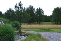 Undeveloped Land in Scott County, Missouri