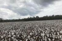 Property in Warren County, Mississippi