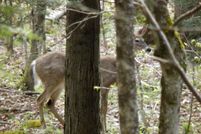 Farm Property in Oswego County, New York