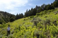 Property in Modoc County, California