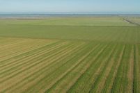 Property in Yolo County, California