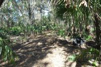 Undeveloped Land in Hardee County, Florida