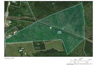 Farm Property in Louisa County, Virginia