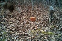 Property in McDonald County, Missouri