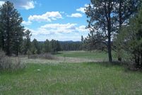 Property in Custer County, South Dakota