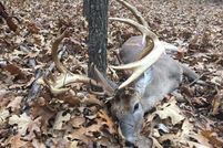 Property in McDonald County, Missouri