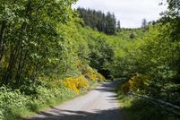 Residential Property in Clatsop County, Oregon