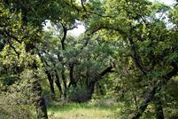 Undeveloped Land in Lavaca County, Texas