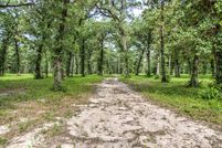 Undeveloped Land in Angelina County, Texas