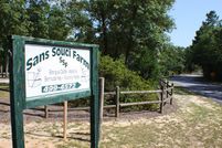 Undeveloped Land in Sumter County, South Carolina