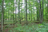 Farm Property in Chautauqua County, New York