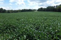 Waterfront Property in Butler County, Kentucky