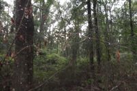 Property in Columbia County, Florida