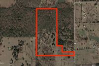 Hunting Land in Van Zandt County, Texas