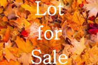 Property in McLean County, Kentucky