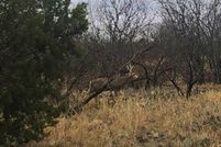 Recreational Property in Cottle County, Texas