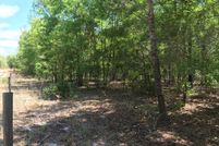 Hunting Land in Gilchrist County, Florida