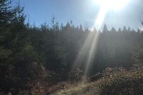 Property in Lane County, Oregon