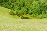 Farm Property in Morgan County, Kentucky