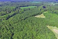 Timberland Property in Orangeburg County, South Carolina