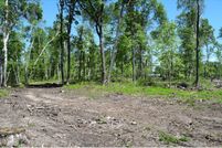 Undeveloped Land in Crow Wing County, Minnesota
