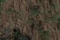 Property in Sussex County, Delaware