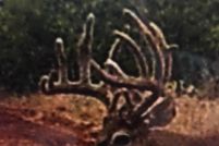 Property in Fisher County, Texas