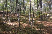 Ranch Property in Norfolk County, Massachusetts