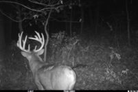 Property in Union County, Iowa