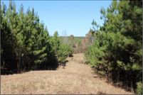 Property in Newton County, Mississippi