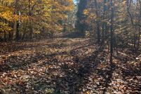 Undeveloped Land in Brown County, Indiana
