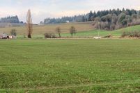 Timberland Property in Washington County, Oregon