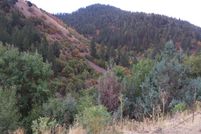 Timberland Property in Bannock County, Idaho