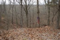 Property in Cape Girardeau County, Missouri
