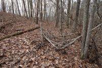 Ranch Property in Roane County, West Virginia
