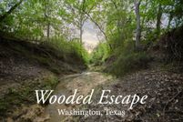 Timberland Property in Washington County, Texas