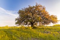 Property in Schleicher County, Texas