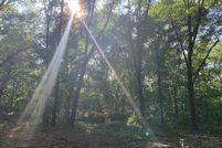 Farm Property in Dodge County, Georgia