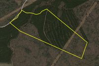 Hunting Land in Sussex County, Delaware