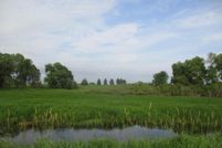 Property in Carver County, Minnesota