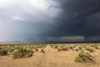 Farm Property in Washoe County, Nevada